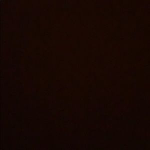 Meet your Posher, Nina